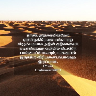 Picture 05 - ஆதியாகமம் 49:17 TAMIRV - தாண், - Bible Verse Picture