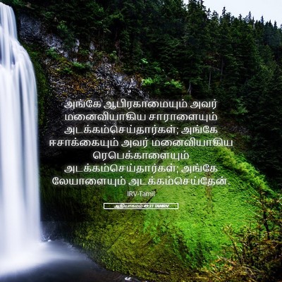 Picture 05 - ஆதியாகமம் 49:31 TAMIRV - அங்கே - Bible Verse Picture