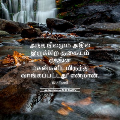 Picture 05 - ஆதியாகமம் 49:32 TAMIRV - அந்த நிலமும் - Bible Verse Picture