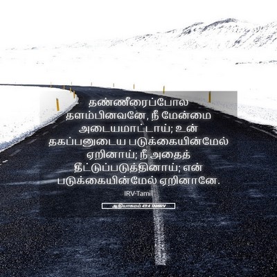 Picture 05 - ஆதியாகமம் 49:4 TAMIRV - தண்ணீரைப்போல - Bible Verse Picture