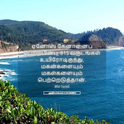 Picture 05 - ஆதியாகமம் 5:10 TAMIRV - ஏனோஸ் கேனானைப் - Bible Verse Picture