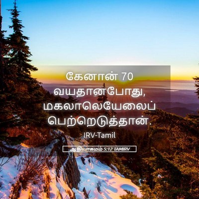 Picture 05 - ஆதியாகமம் 5:12 TAMIRV - கேனான் 70 - Bible Verse Picture