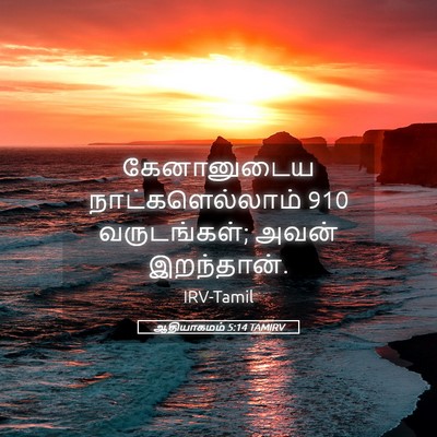 Picture 05 - ஆதியாகமம் 5:14 TAMIRV - கேனானுடைய - Bible Verse Picture