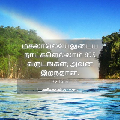 Picture 05 - ஆதியாகமம் 5:17 TAMIRV - மகலாலெயேலுடைய - Bible Verse Picture