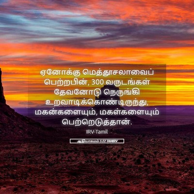 Picture 05 - ஆதியாகமம் 5:22 TAMIRV - ஏனோக்கு - Bible Verse Picture