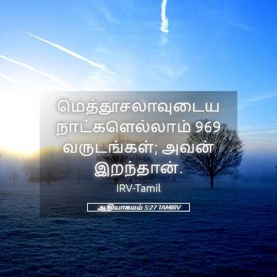 Picture 05 - ஆதியாகமம் 5:27 TAMIRV - மெத்தூசலாவுடைய - Bible Verse Picture