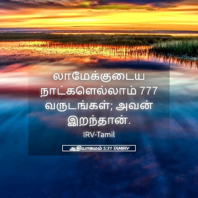 Picture 05 - ஆதியாகமம் 5:31 TAMIRV - லாமேக்குடைய - Bible Verse Picture