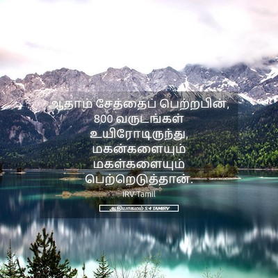 Picture 05 - ஆதியாகமம் 5:4 TAMIRV - ஆதாம் சேத்தைப் - Bible Verse Picture