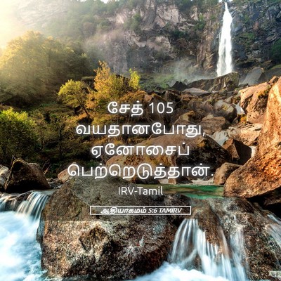 Picture 05 - ஆதியாகமம் 5:6 TAMIRV - சேத் 105 வயதானபோது, - Bible Verse Picture