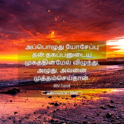 Picture 05 - ஆதியாகமம் 50:1 TAMIRV - அப்பொழுது - Bible Verse Picture
