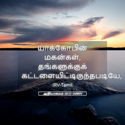 Picture 05 - ஆதியாகமம் 50:12 TAMIRV - யாக்கோபின் - Bible Verse Picture