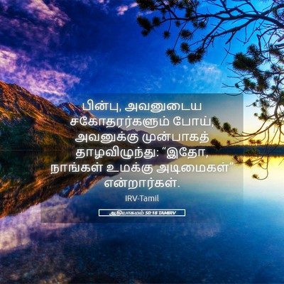 Picture 05 - ஆதியாகமம் 50:18 TAMIRV - பின்பு, அவனுடைய - Bible Verse Picture