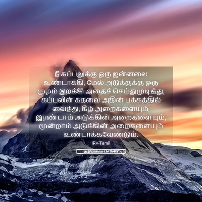 Picture 05 - ஆதியாகமம் 6:16 TAMIRV - நீ கப்பலுக்கு ஒரு - Bible Verse Picture