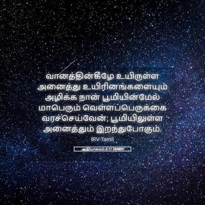 Picture 05 - ஆதியாகமம் 6:17 TAMIRV - வானத்தின்கீழே - Bible Verse Picture