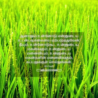 Picture 05 - ஆதியாகமம் 6:18 TAMIRV - ஆனாலும் உன்னோடு - Bible Verse Picture