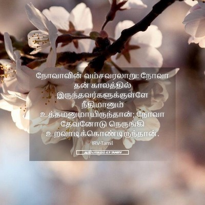 Picture 05 - ஆதியாகமம் 6:9 TAMIRV - நோவாவின் - Bible Verse Picture