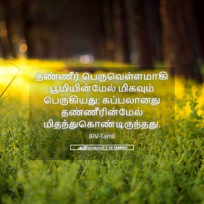 Picture 05 - ஆதியாகமம் 7:18 TAMIRV - தண்ணீர் - Bible Verse Picture