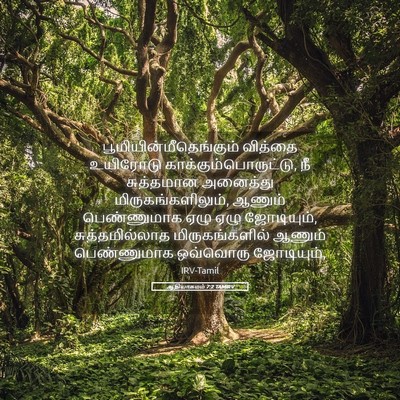 Picture 05 - ஆதியாகமம் 7:2 TAMIRV -  - Bible Verse Picture