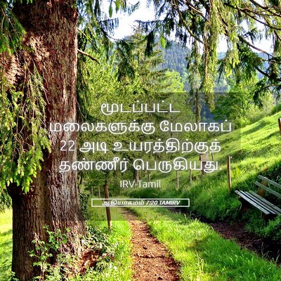 Picture 05 - ஆதியாகமம் 7:20 TAMIRV - மூடப்பட்ட - Bible Verse Picture