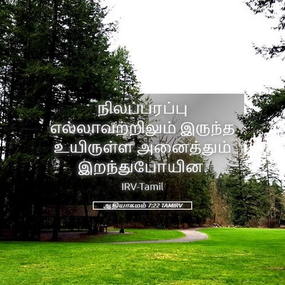 Picture 05 - ஆதியாகமம் 7:22 TAMIRV - நிலப்பரப்பு - Bible Verse Picture