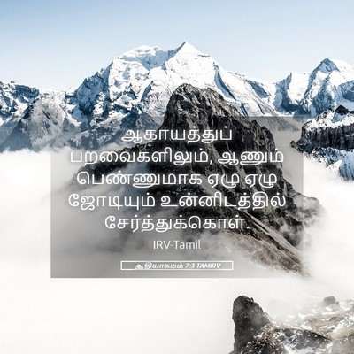 Picture 05 - ஆதியாகமம் 7:3 TAMIRV - ஆகாயத்துப் - Bible Verse Picture