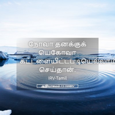 Picture 05 - ஆதியாகமம் 7:5 TAMIRV - நோவா தனக்குக் - Bible Verse Picture