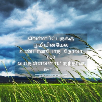 Picture 05 - ஆதியாகமம் 7:6 TAMIRV - வெள்ளப்பெருக்கு - Bible Verse Picture