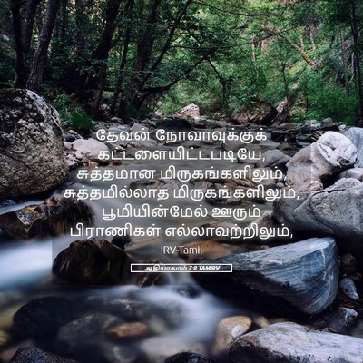 Picture 05 - ஆதியாகமம் 7:8 TAMIRV - தேவன் - Bible Verse Picture