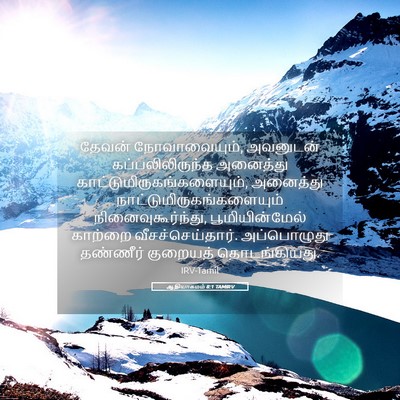 Picture 05 - ஆதியாகமம் 8:1 TAMIRV - தேவன் நோவாவையும், - Bible Verse Picture
