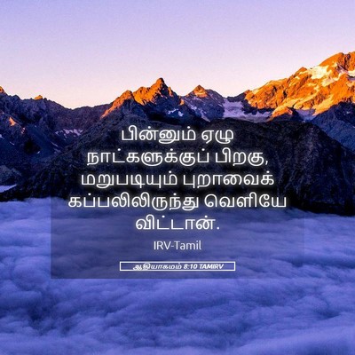 Picture 05 - ஆதியாகமம் 8:10 TAMIRV - பின்னும் ஏழு - Bible Verse Picture