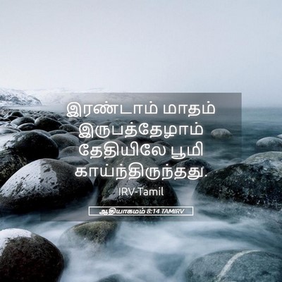 Picture 05 - ஆதியாகமம் 8:14 TAMIRV - இரண்டாம் மாதம் - Bible Verse Picture