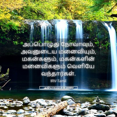Picture 05 - ஆதியாகமம் 8:18 TAMIRV - அப்பொழுது - Bible Verse Picture