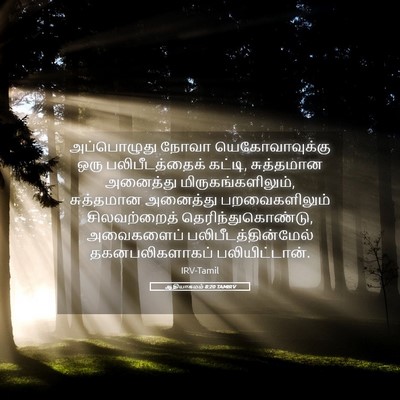 Picture 05 - ஆதியாகமம் 8:20 TAMIRV - அப்பொழுது நோவா - Bible Verse Picture