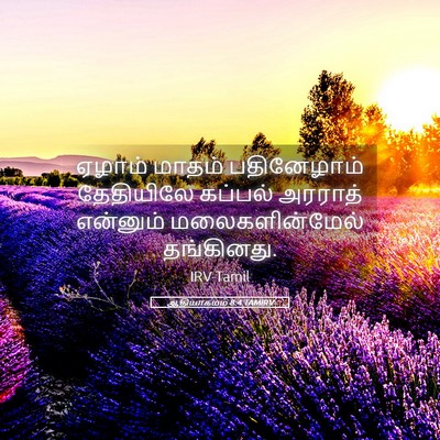 Picture 05 - ஆதியாகமம் 8:4 TAMIRV - ஏழாம் மாதம் - Bible Verse Picture
