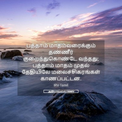 Picture 05 - ஆதியாகமம் 8:5 TAMIRV - பத்தாம் - Bible Verse Picture