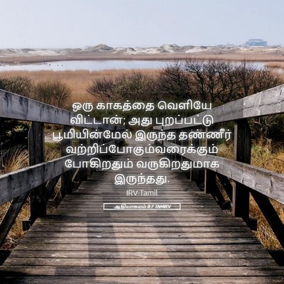 Picture 05 - ஆதியாகமம் 8:7 TAMIRV - ஒரு காகத்தை - Bible Verse Picture