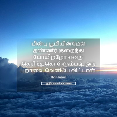 Picture 05 - ஆதியாகமம் 8:8 TAMIRV - பின்பு - Bible Verse Picture