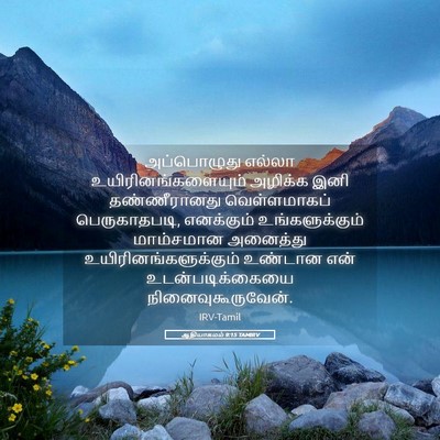 Picture 05 - ஆதியாகமம் 9:15 TAMIRV - அப்பொழுது எல்லா - Bible Verse Picture