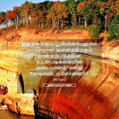 Picture 05 - ஆதியாகமம் 9:17 TAMIRV - இது எனக்கும், - Bible Verse Picture