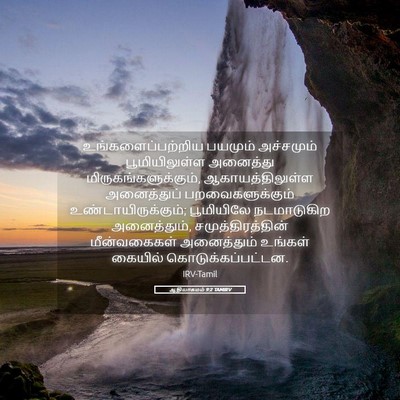 Picture 05 - ஆதியாகமம் 9:2 TAMIRV - உங்களைப்பற்றிய - Bible Verse Picture