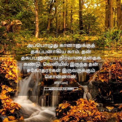 Picture 05 - ஆதியாகமம் 9:22 TAMIRV - அப்பொழுது - Bible Verse Picture