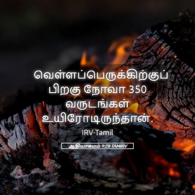 Picture 05 - ஆதியாகமம் 9:28 TAMIRV -  - Bible Verse Picture