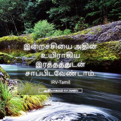 Picture 05 - ஆதியாகமம் 9:4 TAMIRV - இறைச்சியை அதின் - Bible Verse Picture