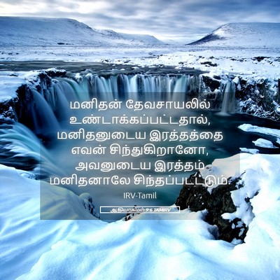 Picture 05 - ஆதியாகமம் 9:6 TAMIRV - மனிதன் தேவசாயலில் - Bible Verse Picture