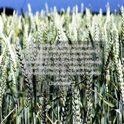 Picture 05 - ஆபகூக் 1:3 TAMIRV - நீர் எனக்கு - Bible Verse Picture