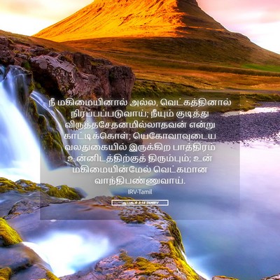 Picture 05 - ஆபகூக் 2:16 TAMIRV - நீ மகிமையினால் - Bible Verse Picture