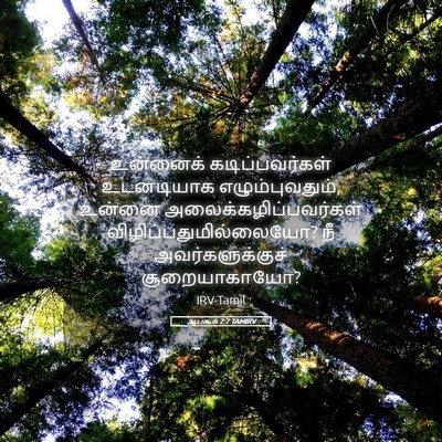 Picture 05 - ஆபகூக் 2:7 TAMIRV - உன்னைக் - Bible Verse Picture