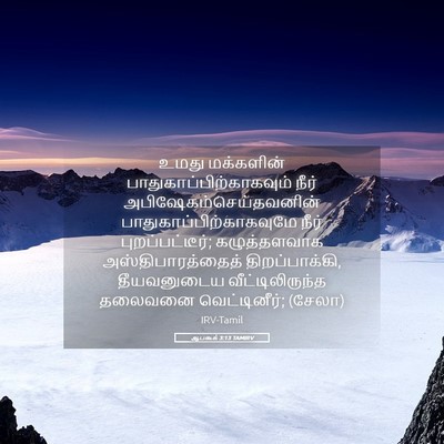 Picture 05 - ஆபகூக் 3:13 TAMIRV - உமது மக்களின் - Bible Verse Picture