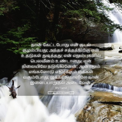 Picture 05 - ஆபகூக் 3:16 TAMIRV - நான் கேட்டபோது - Bible Verse Picture