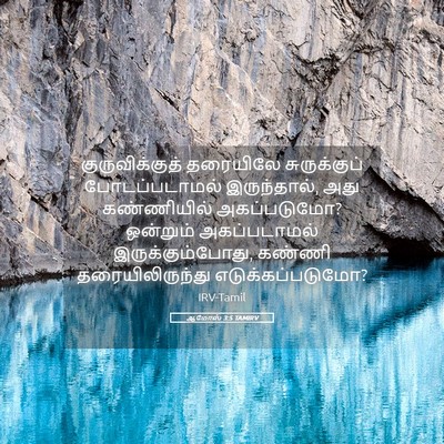 Picture 05 - ஆமோஸ் 3:5 TAMIRV - குருவிக்குத் - Bible Verse Picture